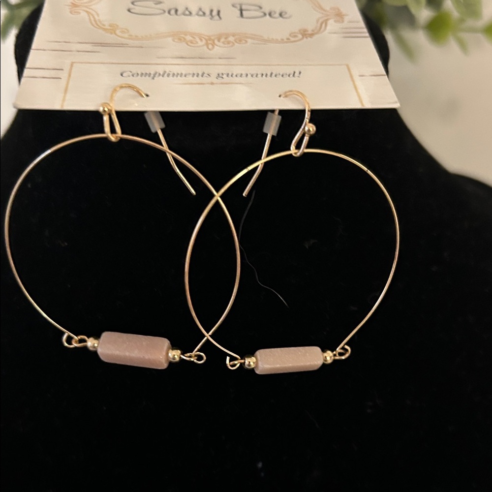 Gold Hoop Earrings with Pink Accents NWT
